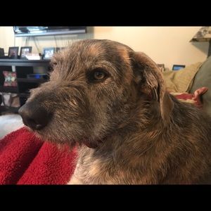 Meet your Posher, Amamy